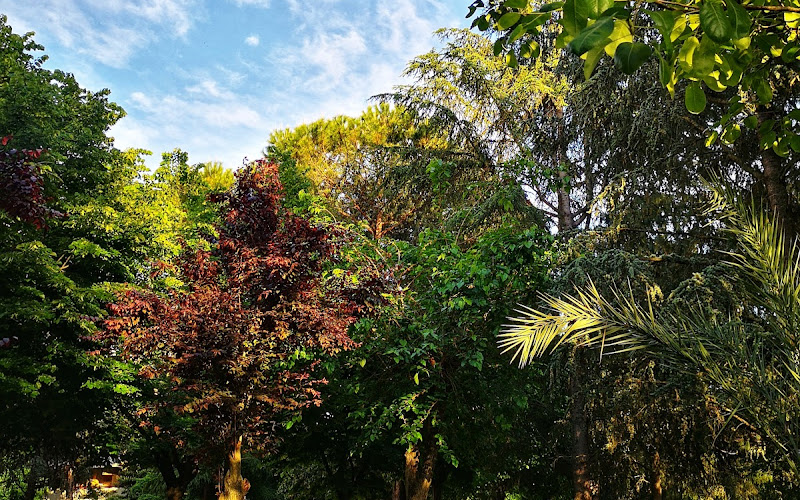 コッリ・アニエーネ公園