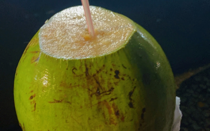 Coco do bola