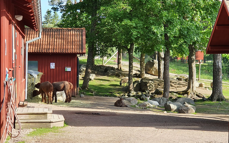 Högbo Bruks Djur & Lekplats