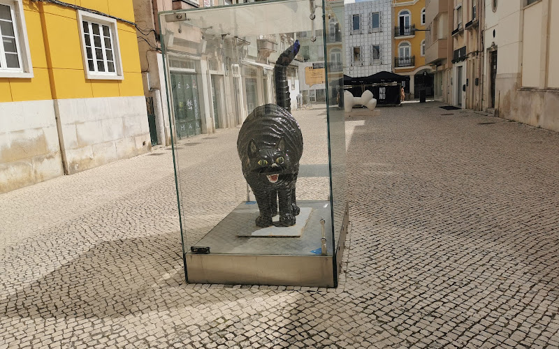 Rota Bordaliana - Gato a Caçar