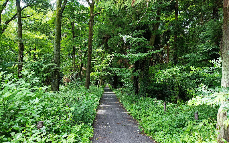 Sagamihara Chuo Green Space