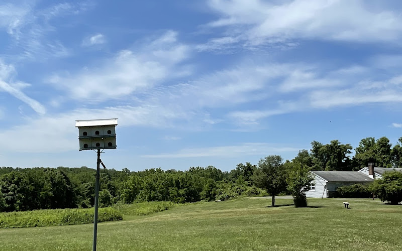 포리시 파크 워킹 트레일스