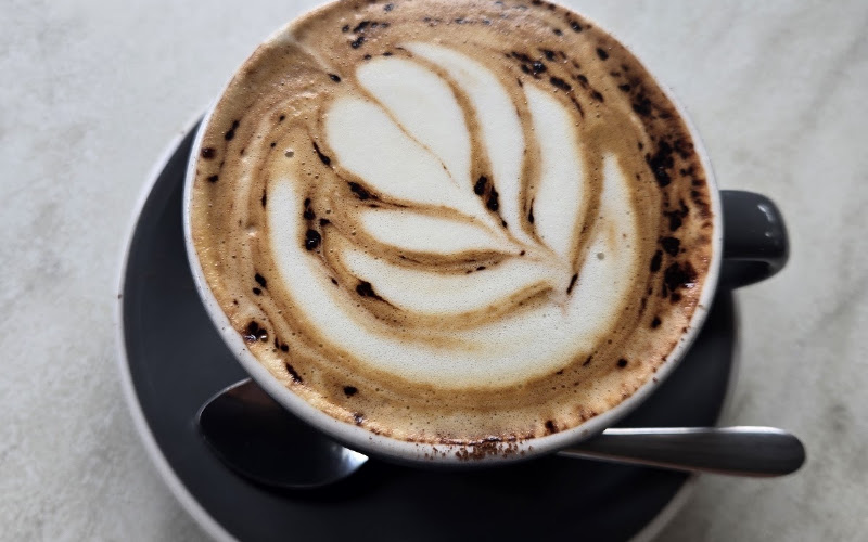 Curio Cafe