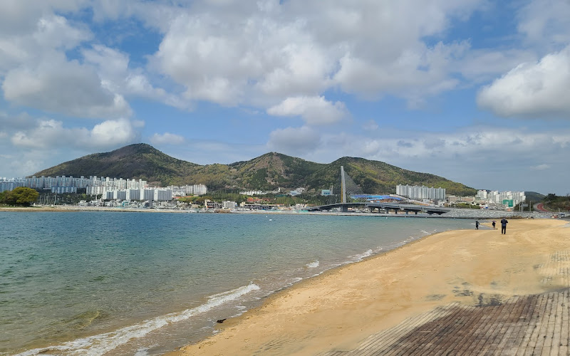 장도