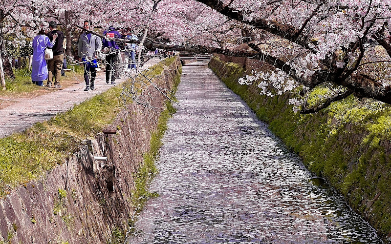 哲学の道