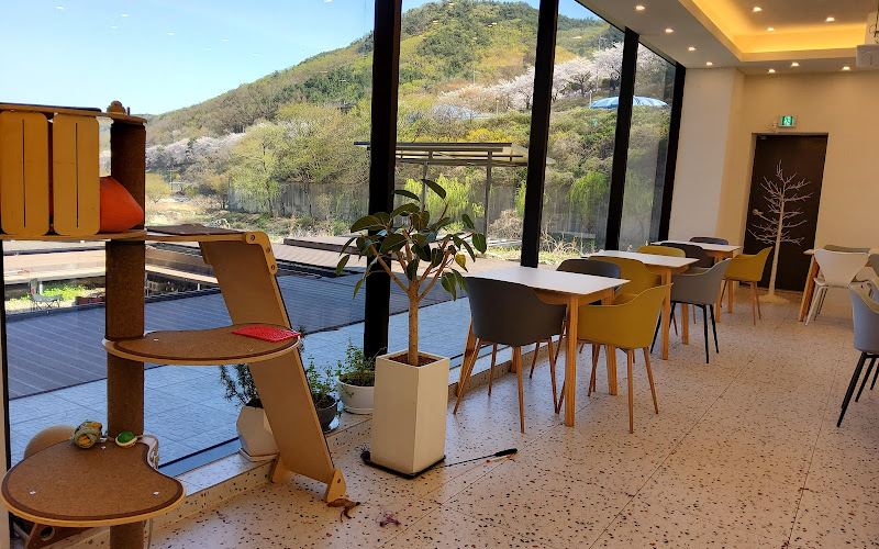 유와백가 라운지펍