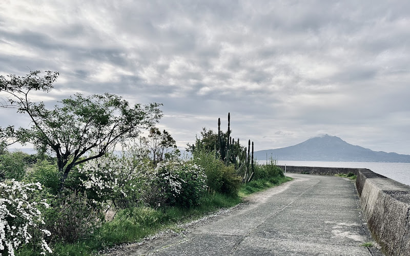 Matsubara Coastline