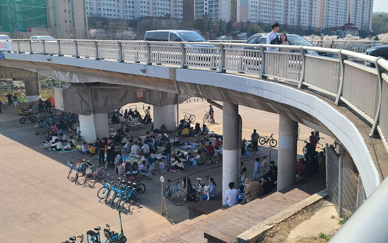 충훈벚꽃길