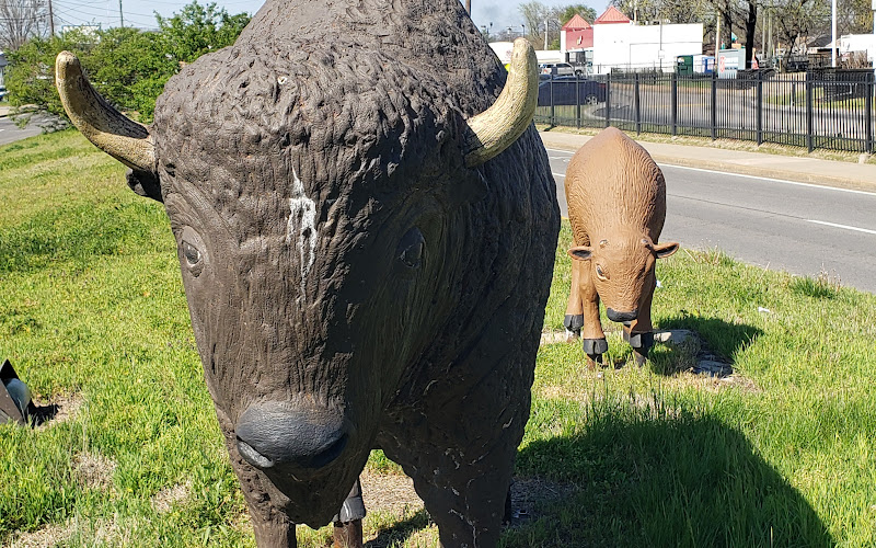Buffalo Statues