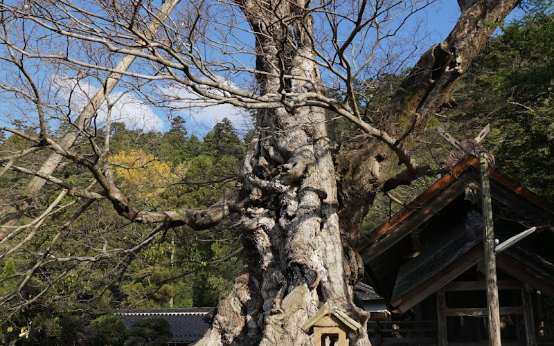 Inochinushino Yashiro