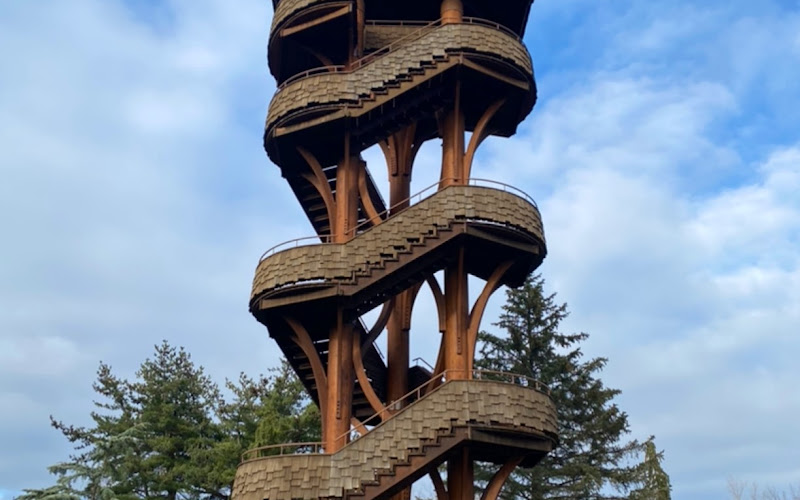 Tree Tower