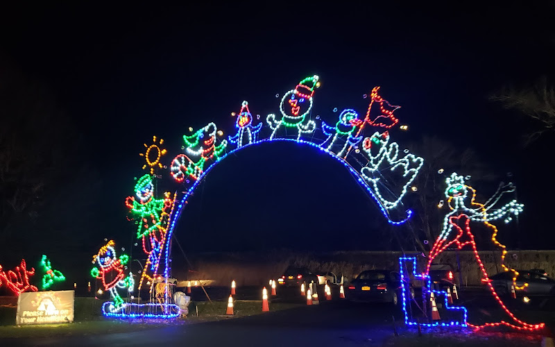 Lights on the Lake