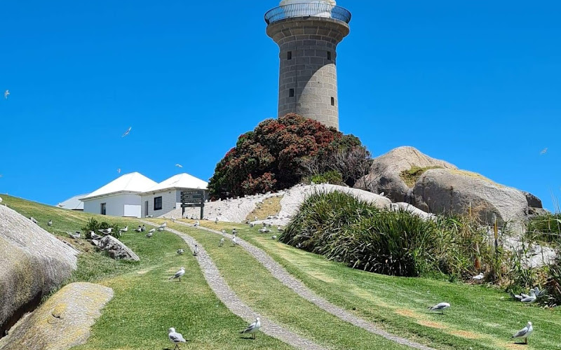 Lighthouse Charters Narooma & Montague Island Discovery Tours with Wazza