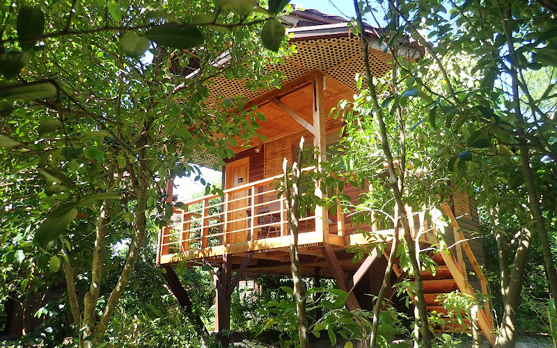Eskapo Verde Lodge Moalboal