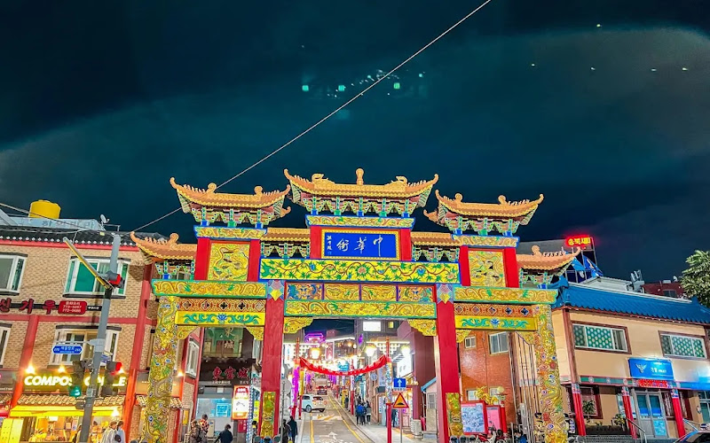 속초 설악동 소나무