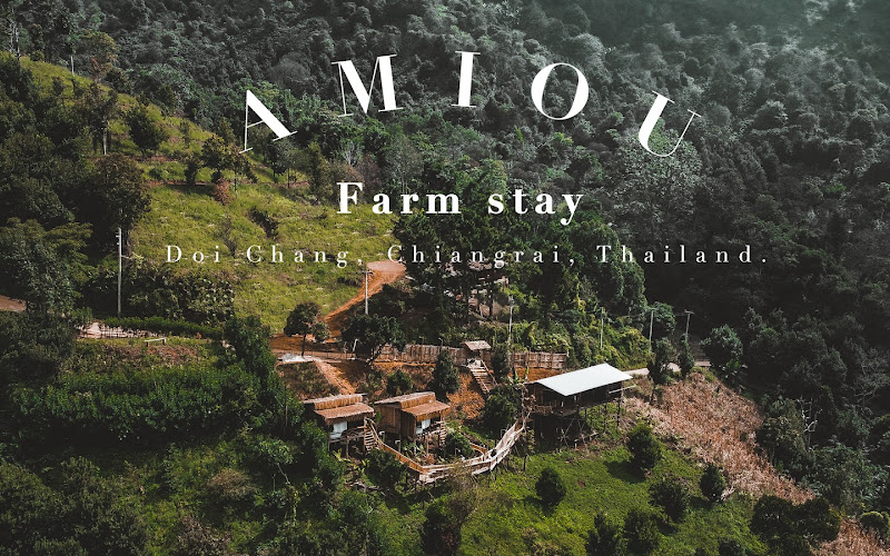 AMIOU Farm