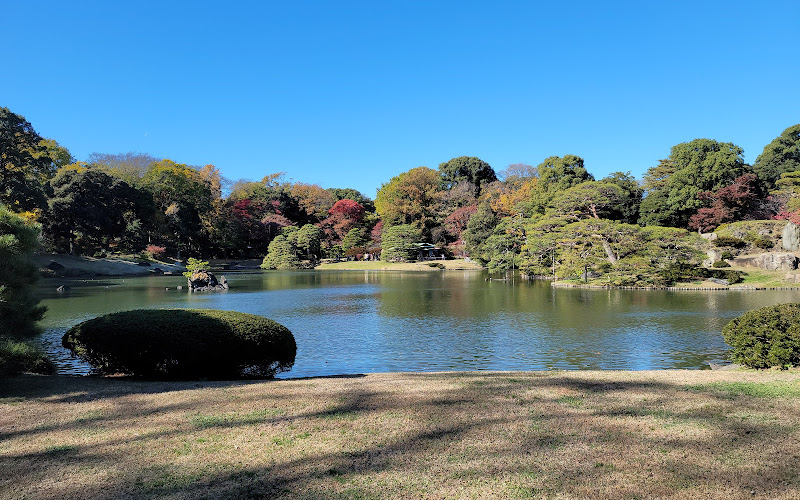 The Great Mother Weeper Cherry Tree