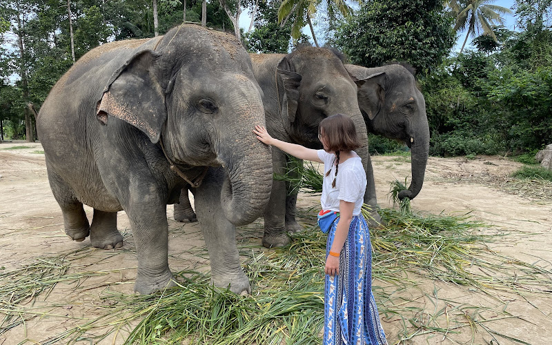 Elephant Jungle Sanctuary Samui (Soi 2 Branch)