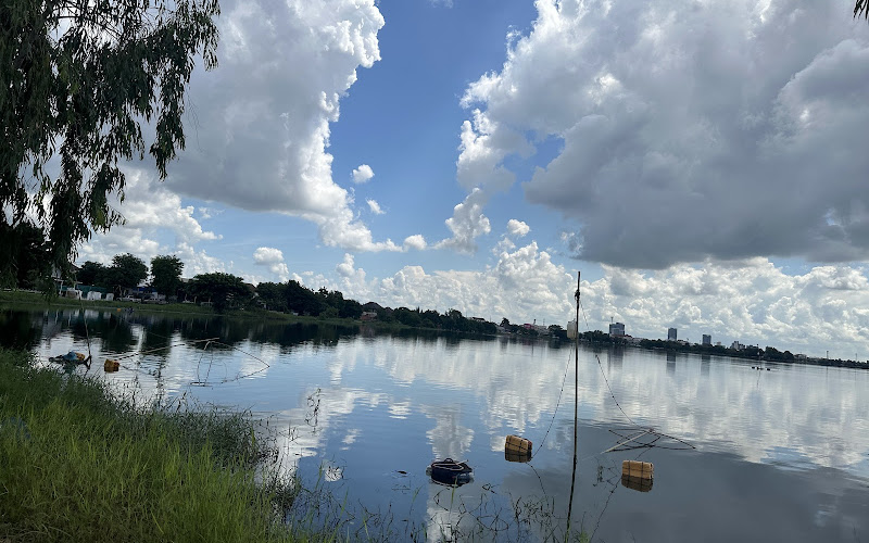 ブンノーンコートン