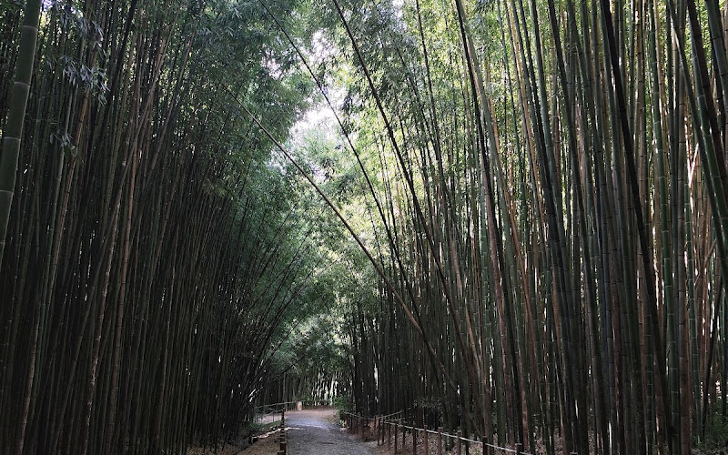 JARDIM BOTÂNICO, Puerta de R. Arco da Traiçao
