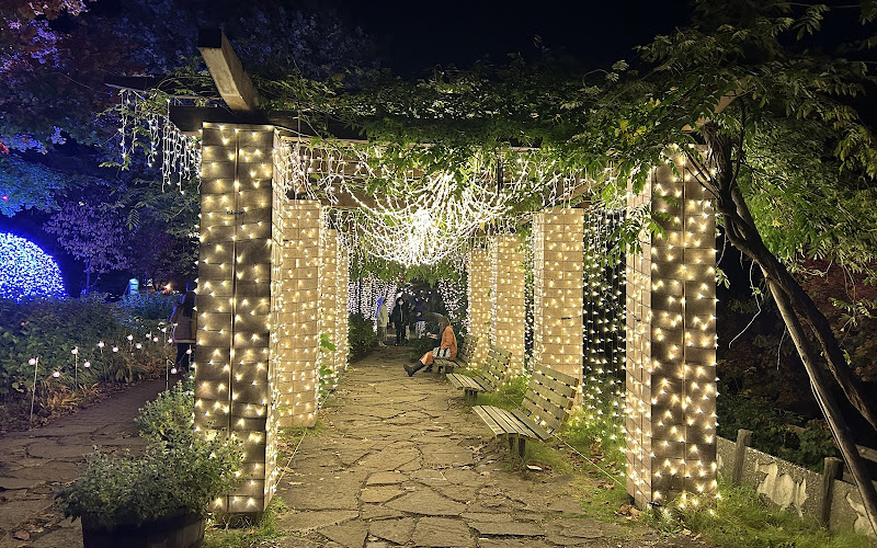 定山渓ネイチャールミナリエ