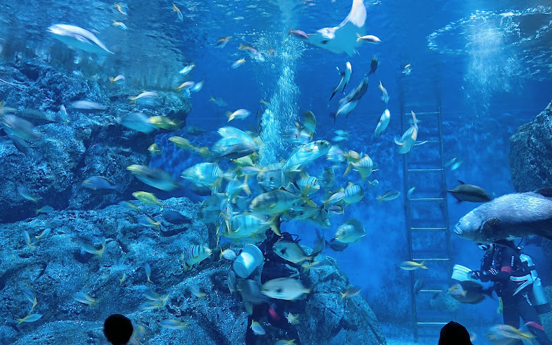 シーライフバンコク オーシャンワールド