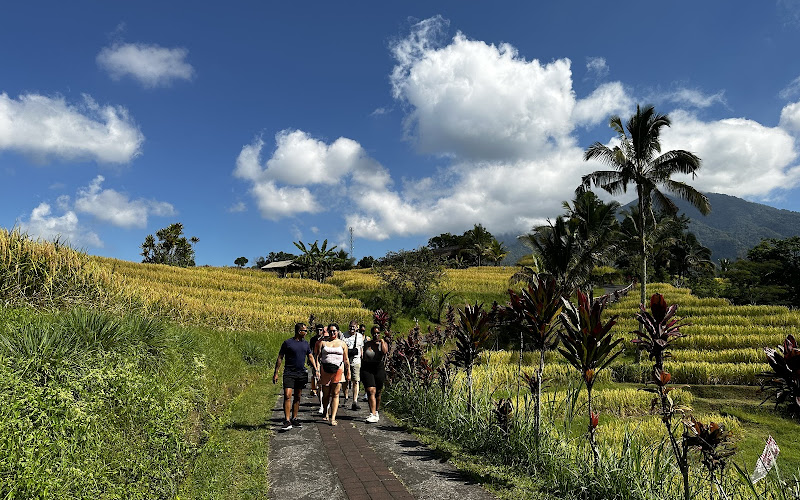 Jatiluwih E-bikes tour & rental
