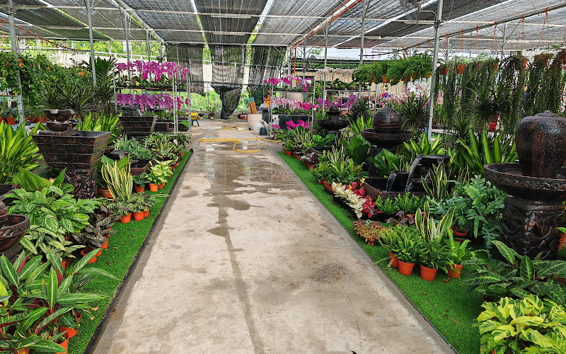 Gadek Nursery @Pusat Flora Cheras, Kajang, Bangi, Kuala Lumpur