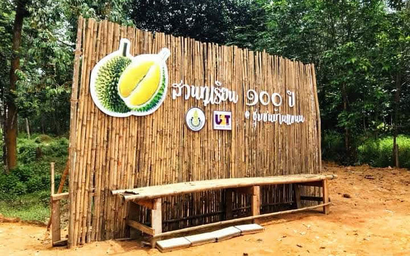 สวนทุเรียนร้อยปีบ้านแขนน
