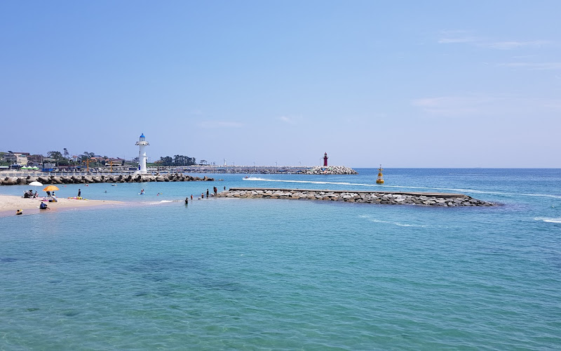 나사방사제등대