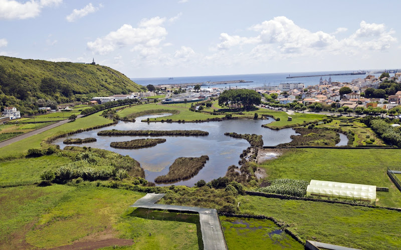 Paúl da Praia da Vitória