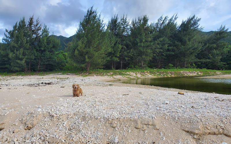 Yoshihara Beach