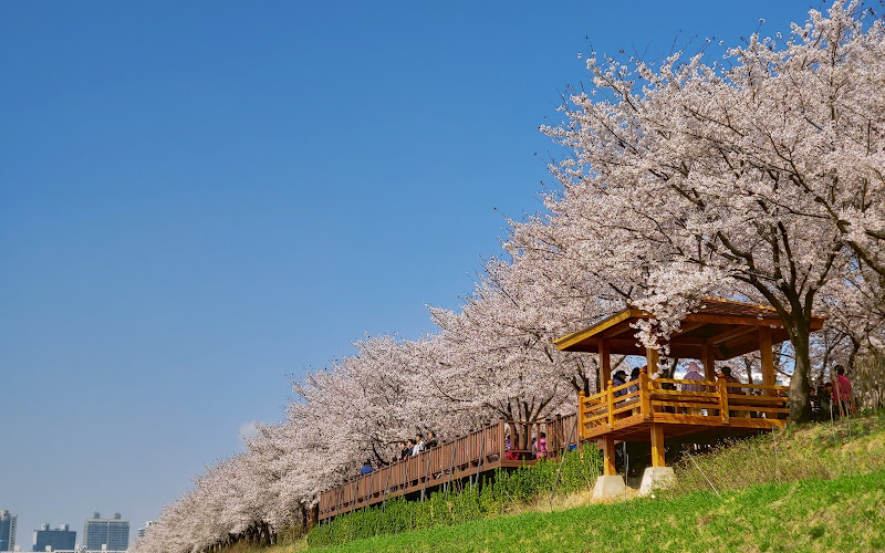 Anyangcheon Ecological Park