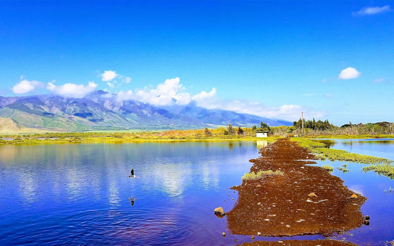 Kealia Pond National Wildlife Refuge