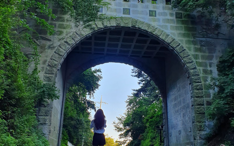 안민고개 벚꽃길