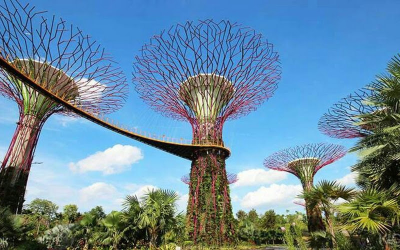 フラワー・ドーム