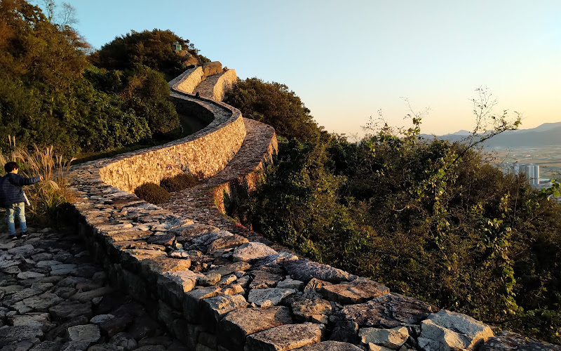 분산성