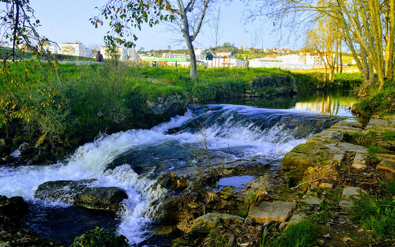ヴェルデ・デ・アルコバサ公園