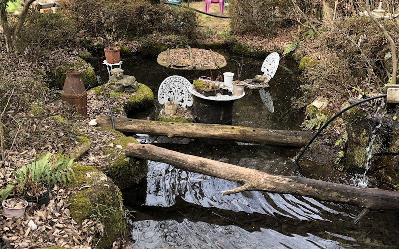 Owaki’s Garden Since 1998