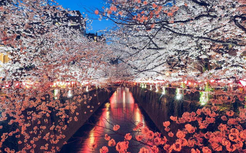 桜橋（目黒川）