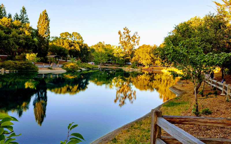 Sharon Park