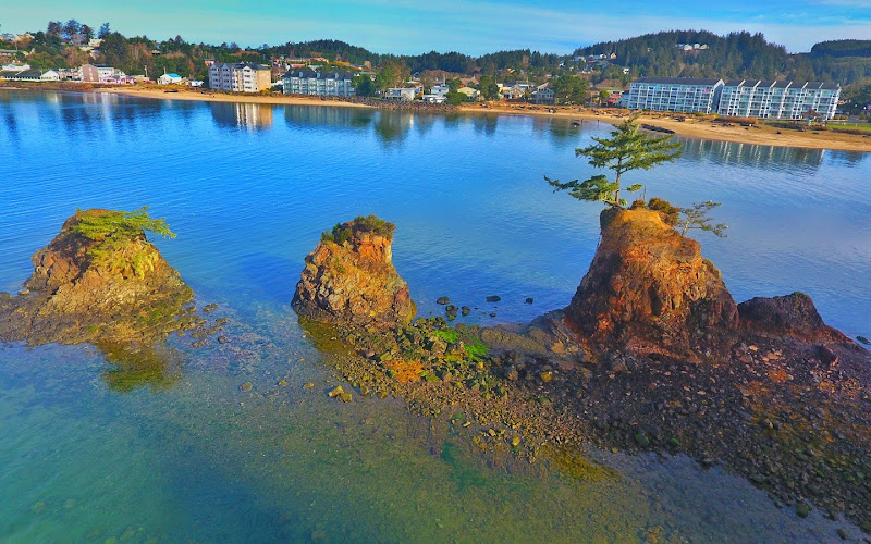 Siletz Bay Vista Point