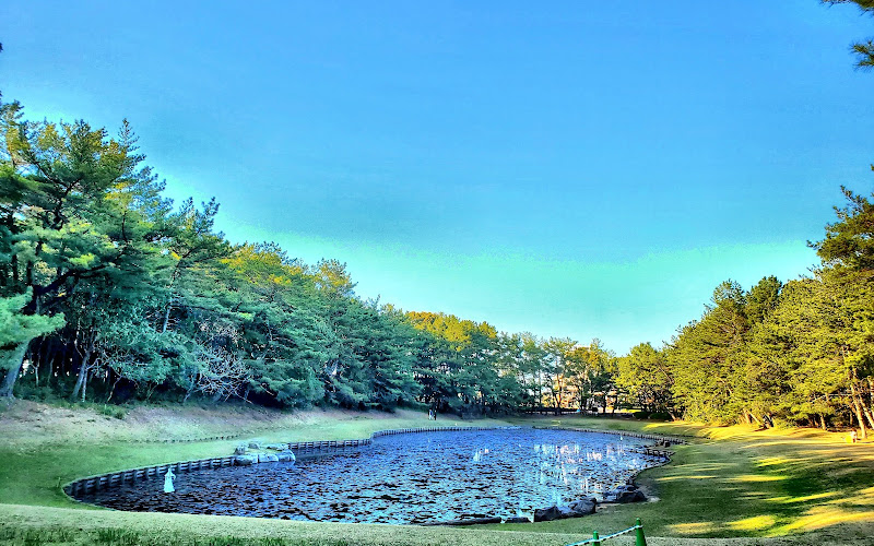 Misogi Pond