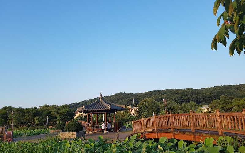 신정호공원 (연꽃정원)