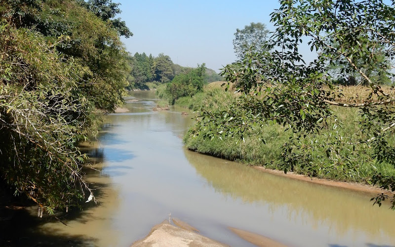 ポーンサリー植物園