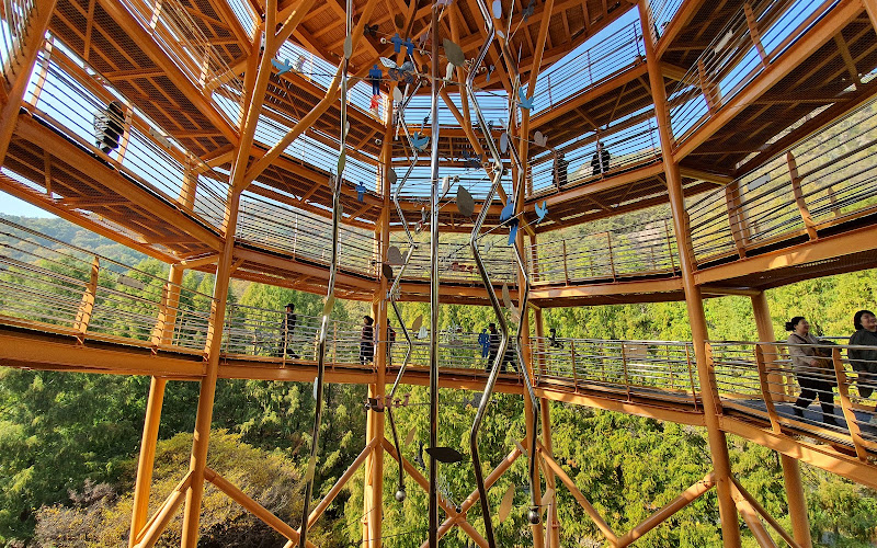 長泰山自然休養林