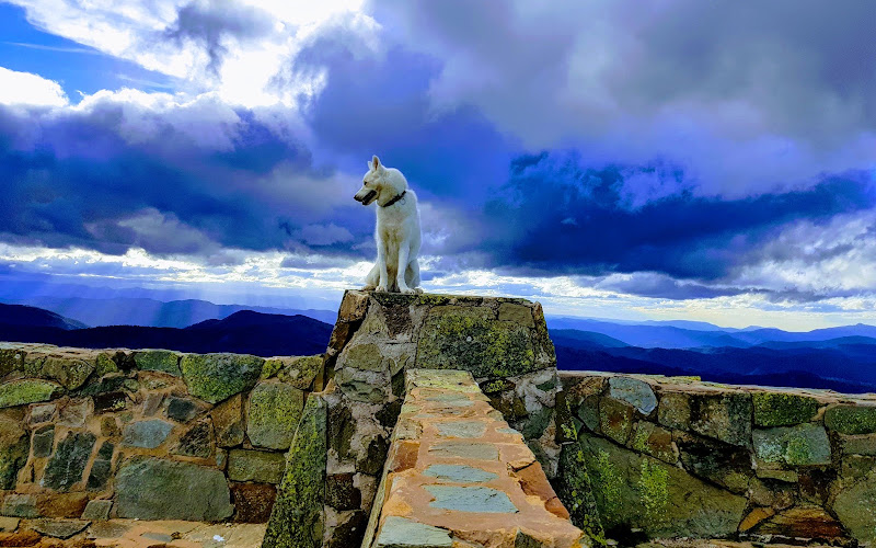 Mount Hotham Summit