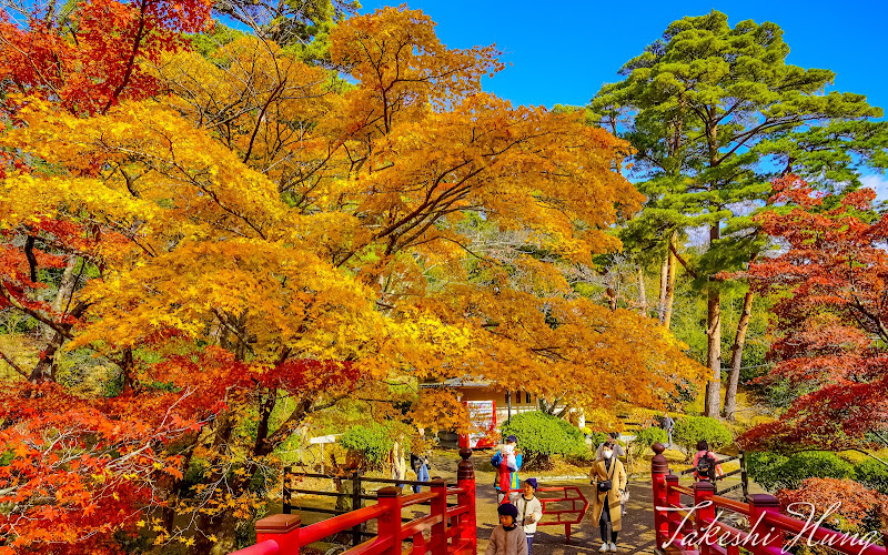 Yahiko Park
