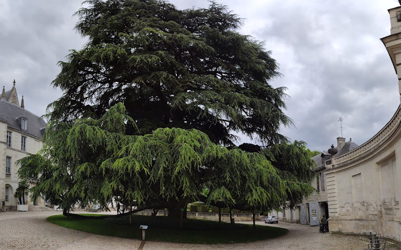 ミュゼ・デ・ボー＝アール庭園
