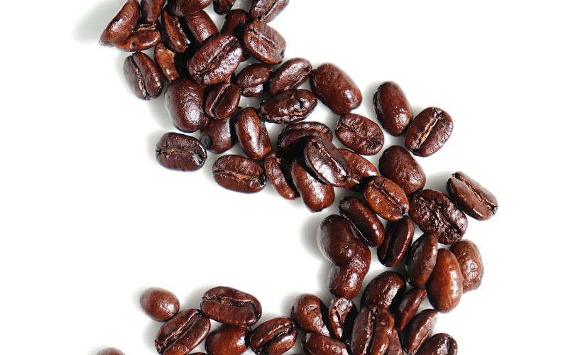 cafe shima coffee roaster